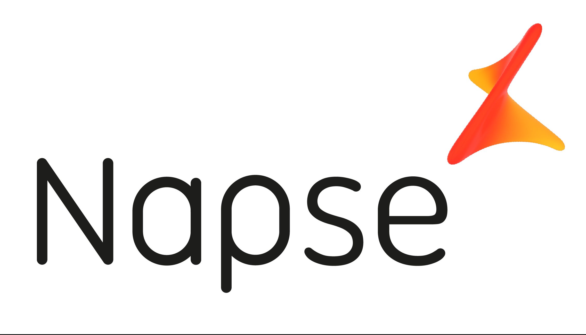 Logo Napse